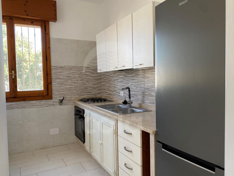 Summer, pet friendly, kitchen