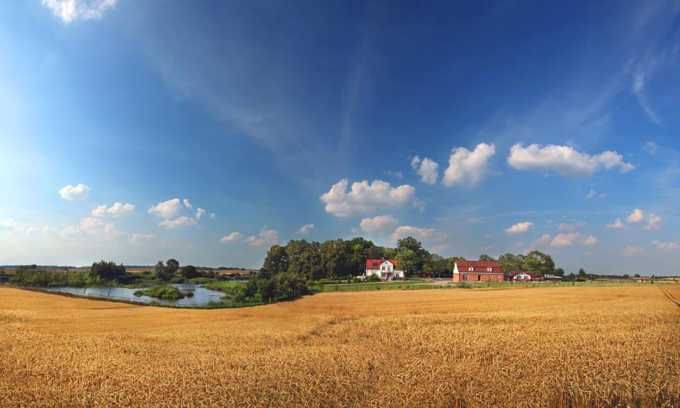 Neighbourhood, Natural landscape