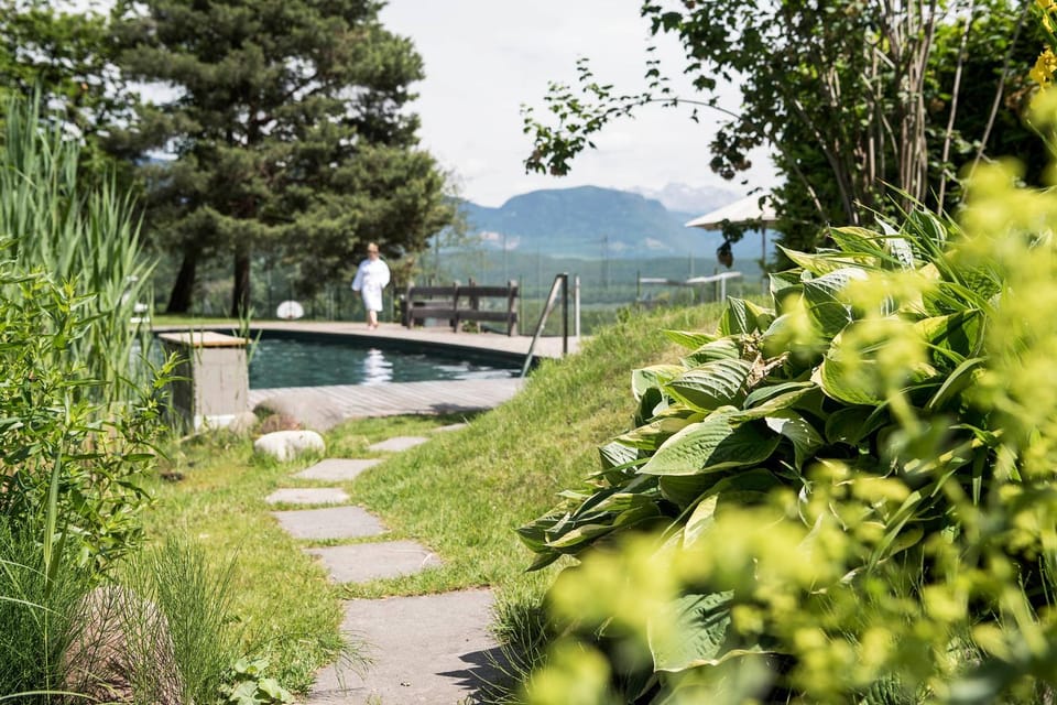Natural landscape, Garden, Swimming pool