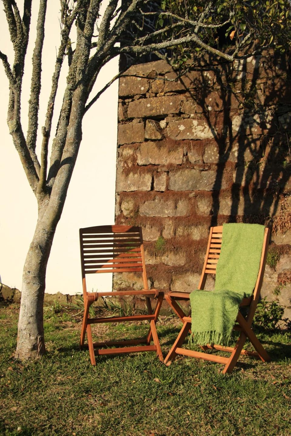 Day, Garden