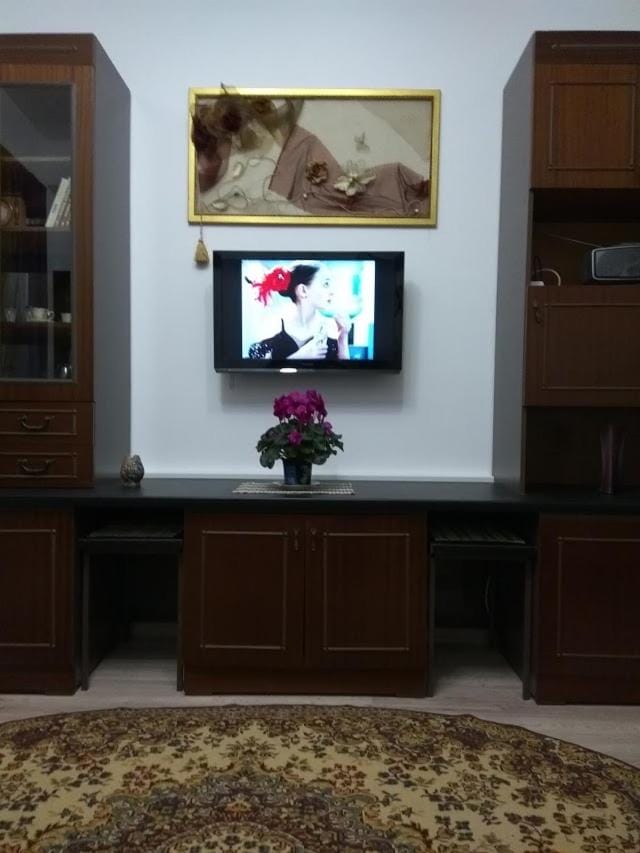 TV and multimedia