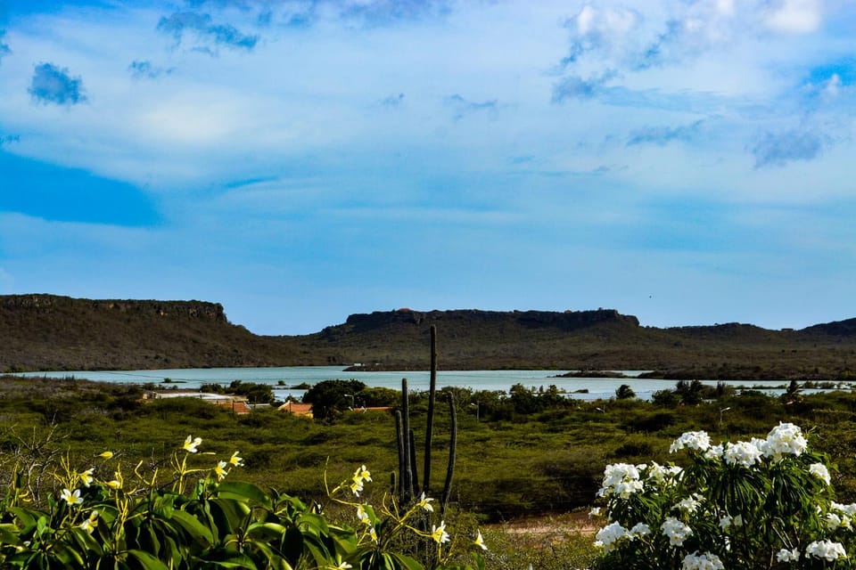 Lake view