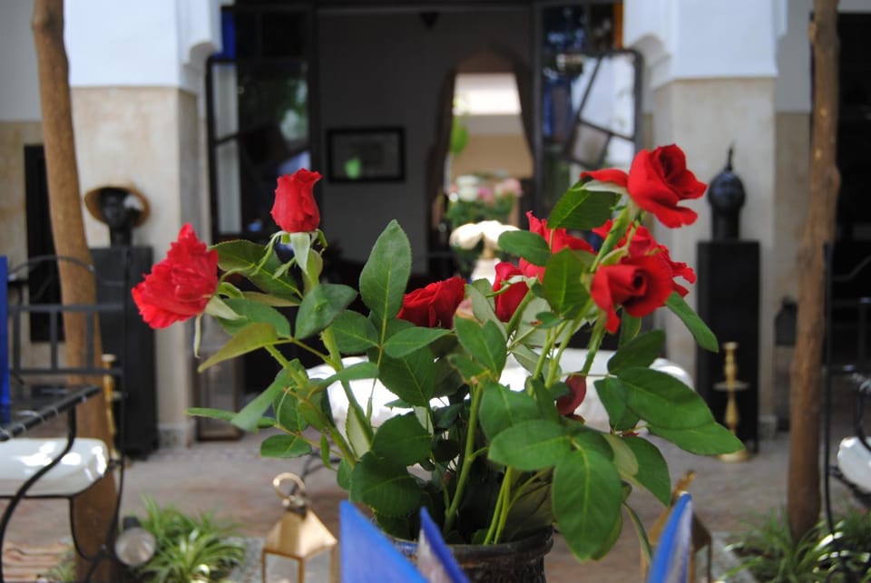Patio, Restaurant/places to eat, Balcony/Terrace
