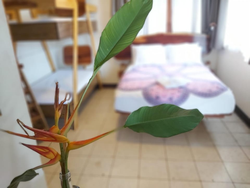 Bed, Bedroom, bunk bed