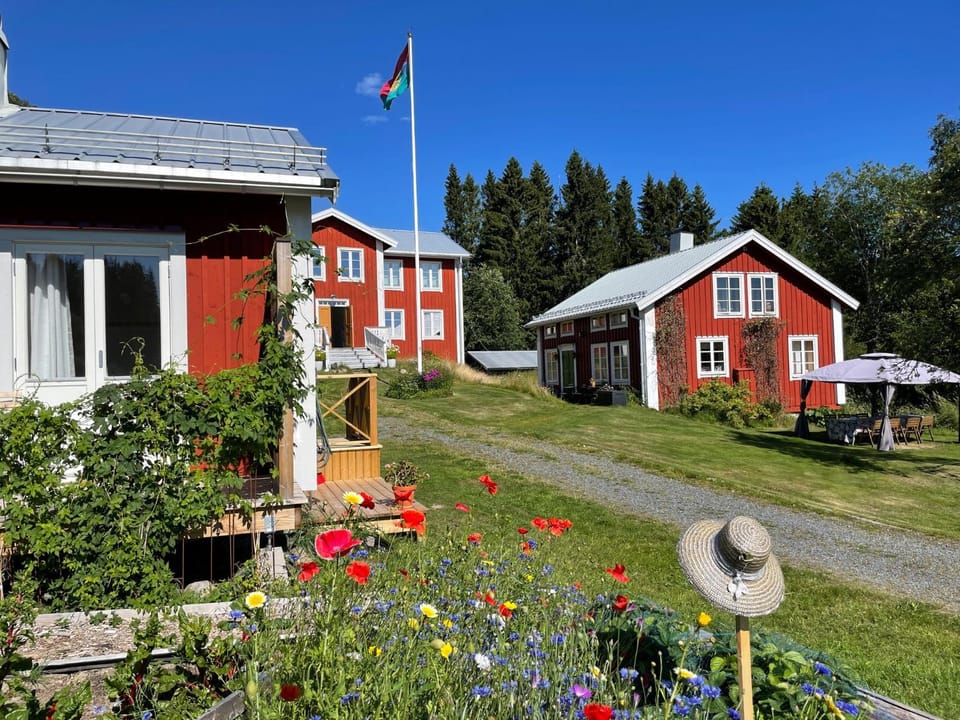 Property building, Garden, Sauna