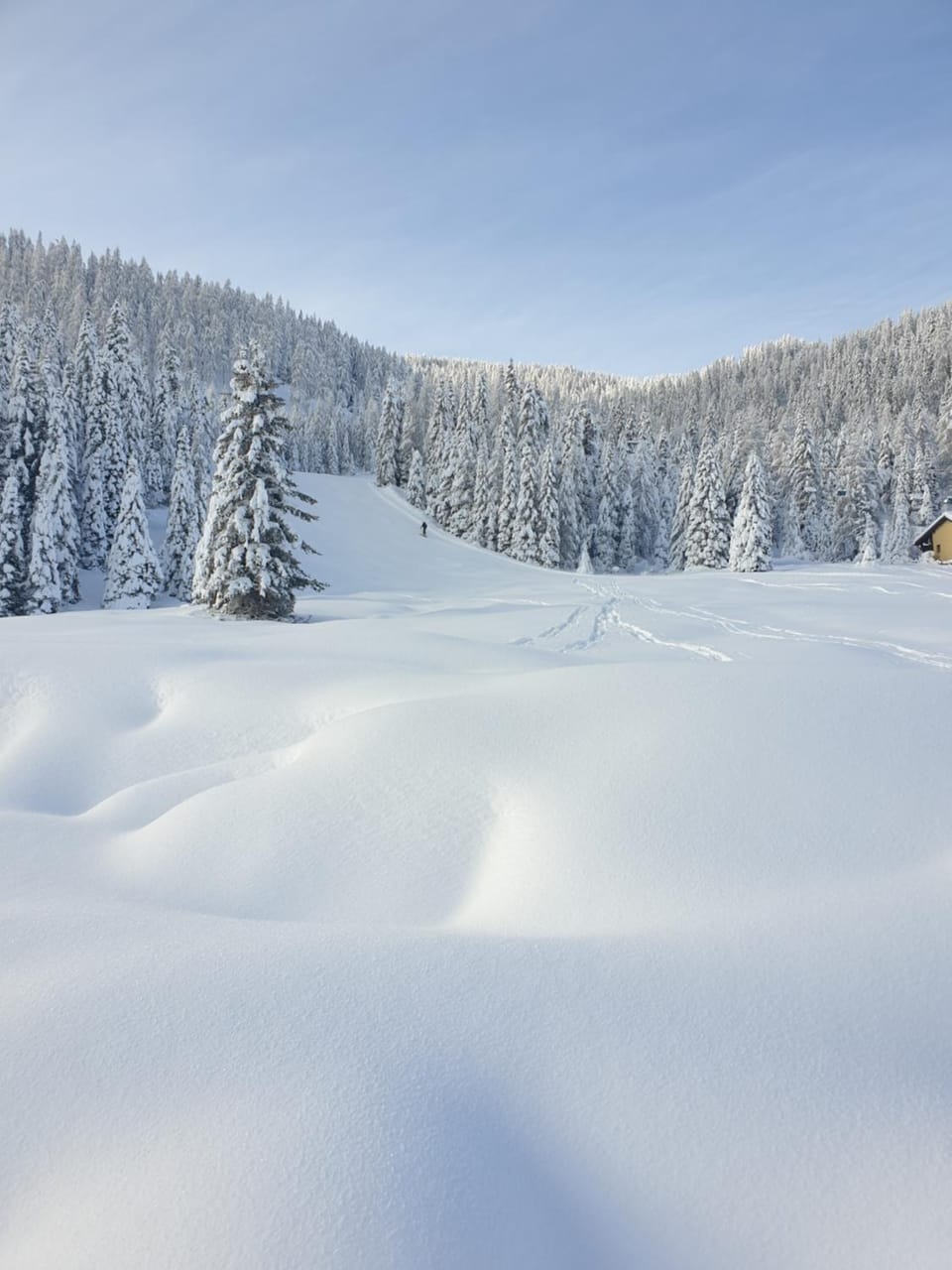 Natural landscape, Winter, Area and facilities