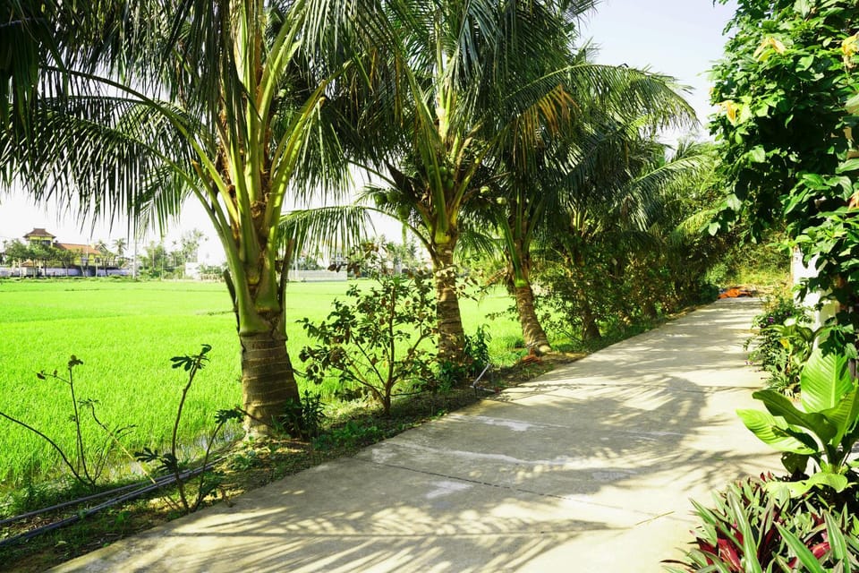 Property building, Day, Natural landscape, Garden, Garden, Garden view