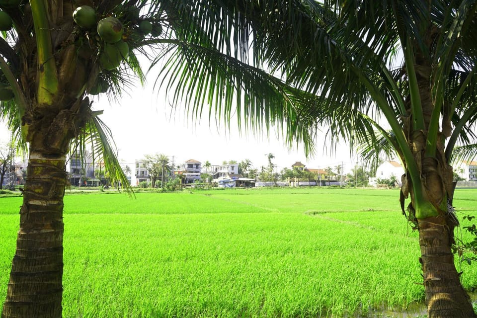 Property building, Day, Natural landscape, Garden