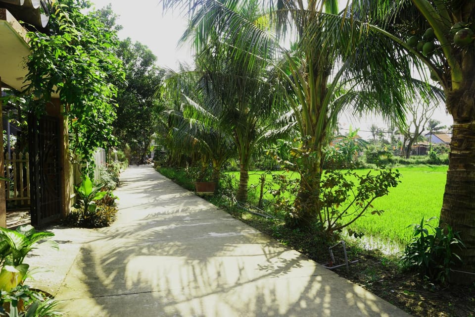Day, Garden, Garden view