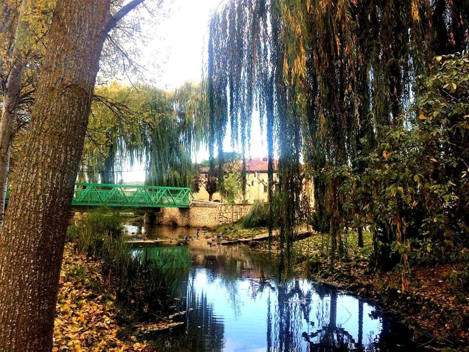 Natural landscape