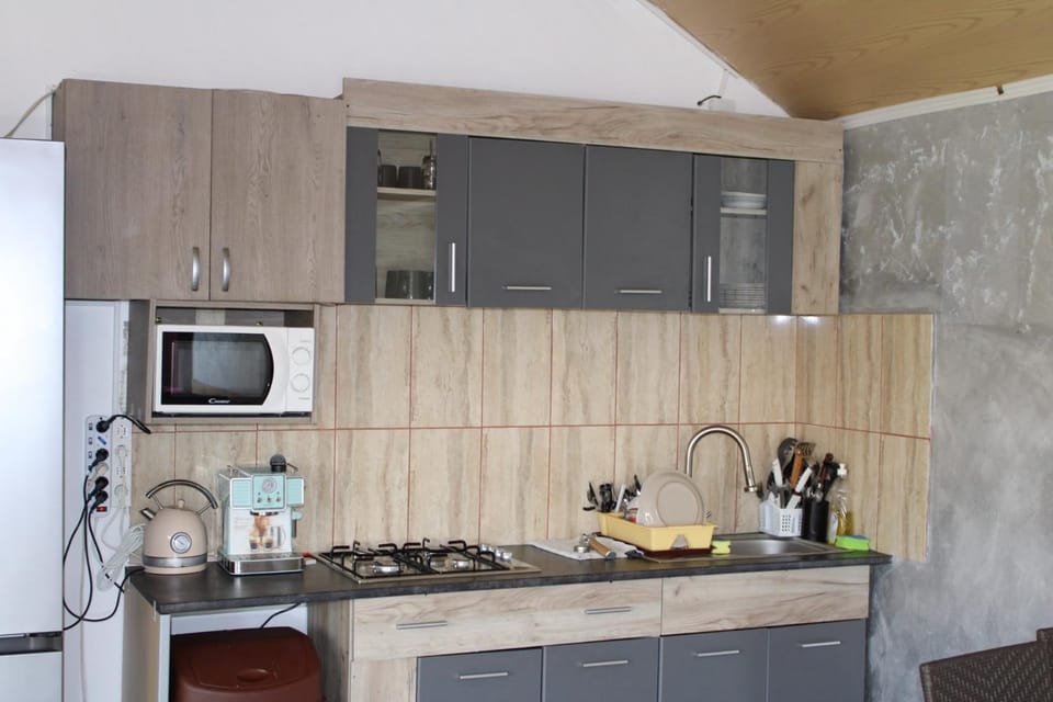 Pensiunea Alessia Murighiol Bed and Breakfast in Romania