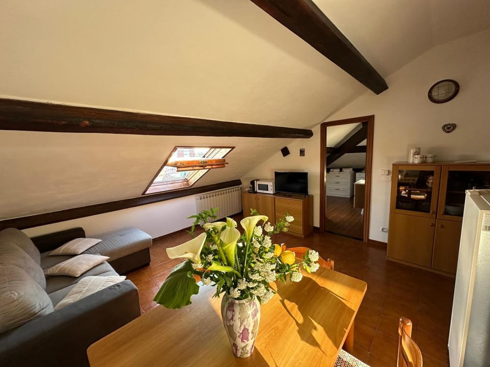 Living room, Dining area, oven