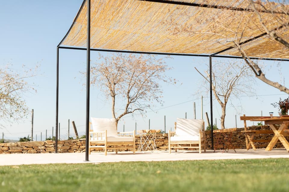Quinta do Olival Loft Farmhouse in Douro Valley House in Portugal