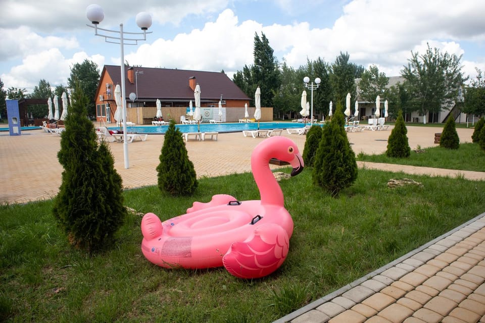 Swimming pool
