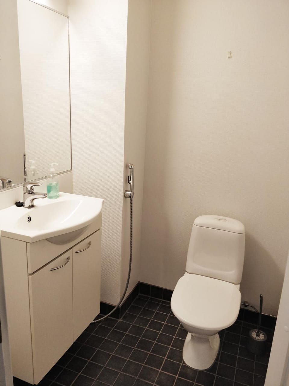 Toilet, Bathroom