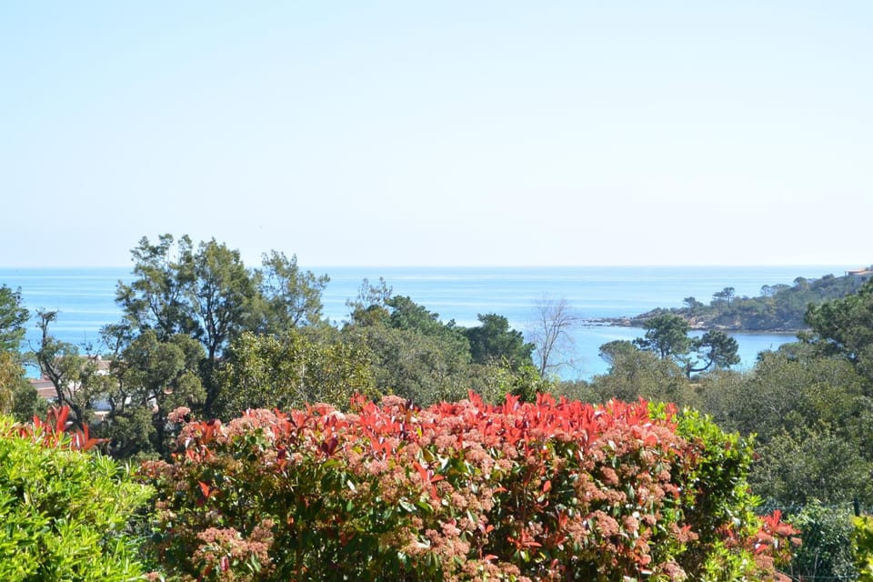 Sea view