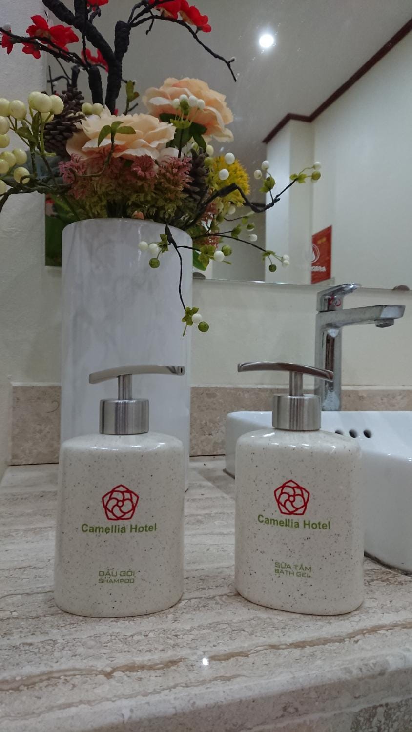 Camellia Hotel Hotel in Laos