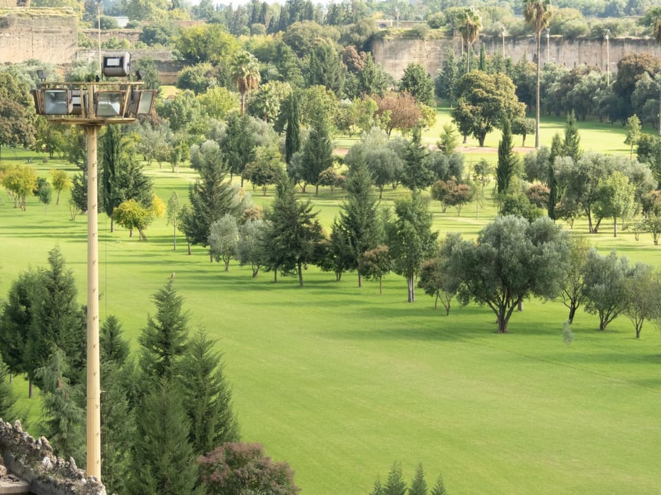 Natural landscape, Golfcourse, Minigolf, View (from property/room), Garden view