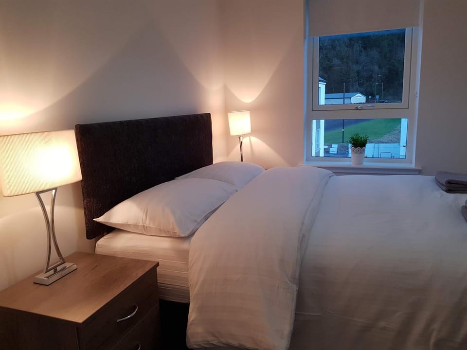 1 Royal View Apartments Apartment in Stirling