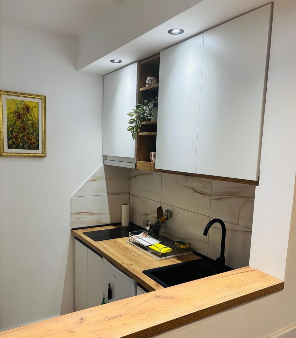 Kitchen or kitchenette, kitchen