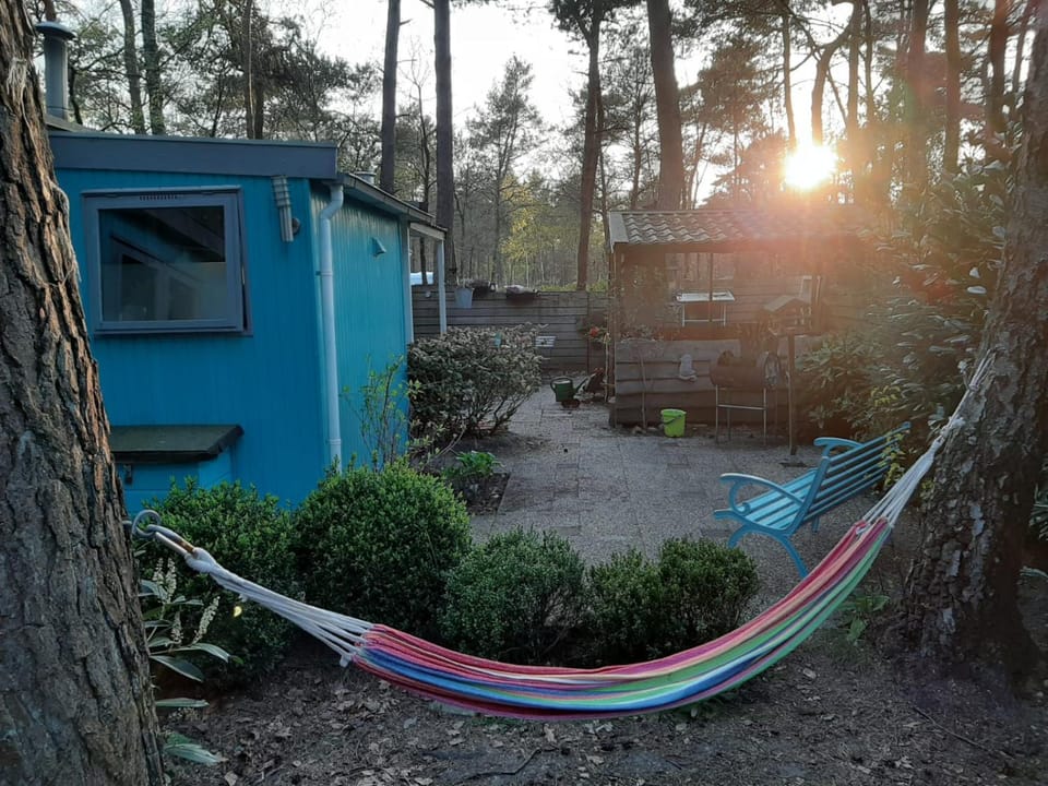 Boshuis Turquoise / smaakvol genieten op de Veluwe House in Hoenderloo