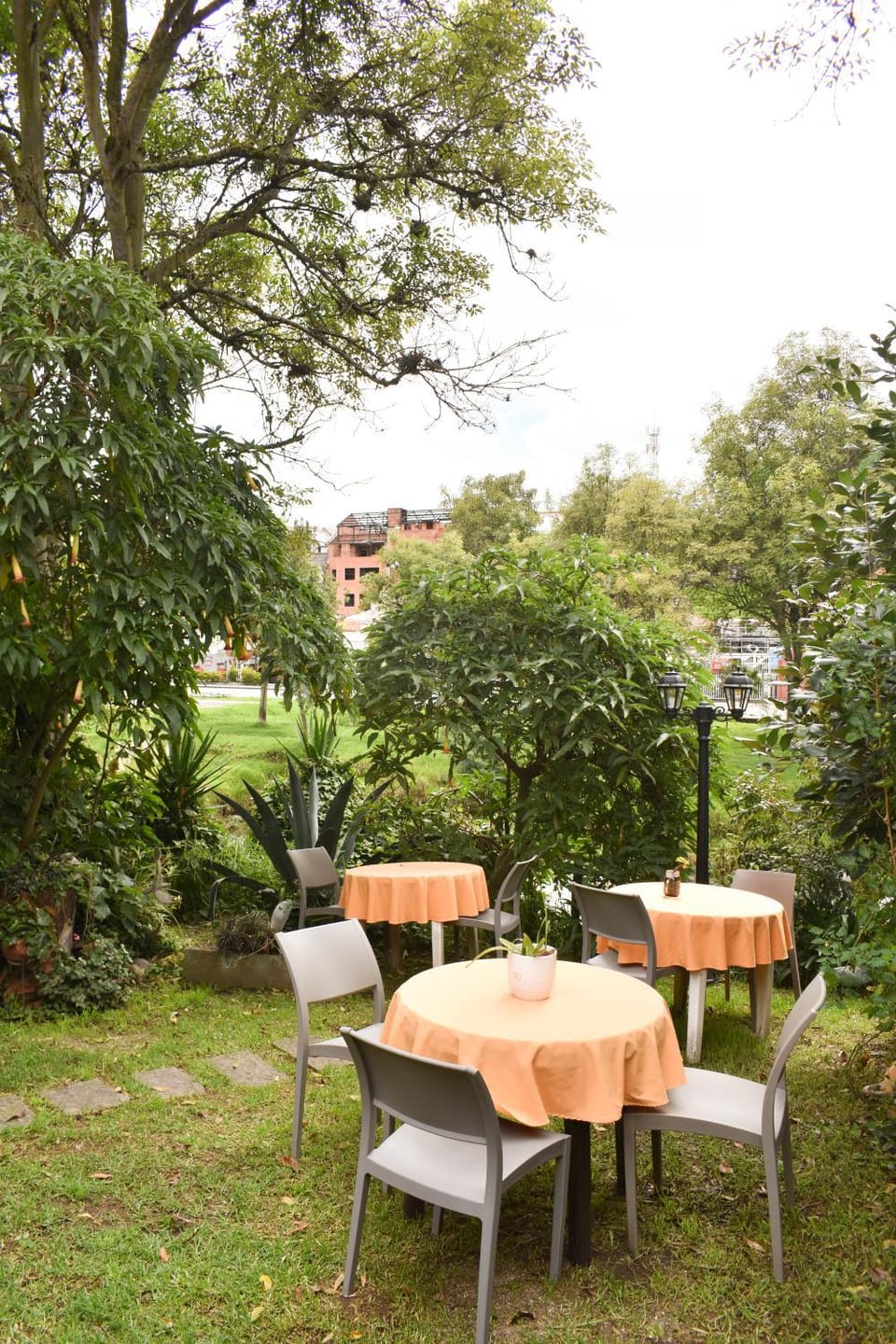 View (from property/room)