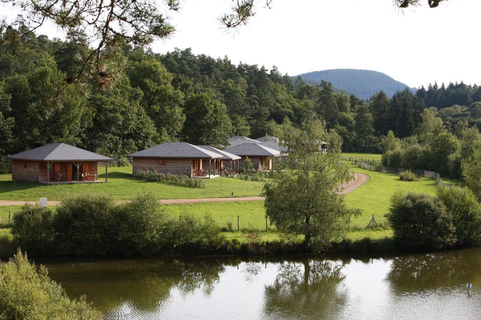 Lake view