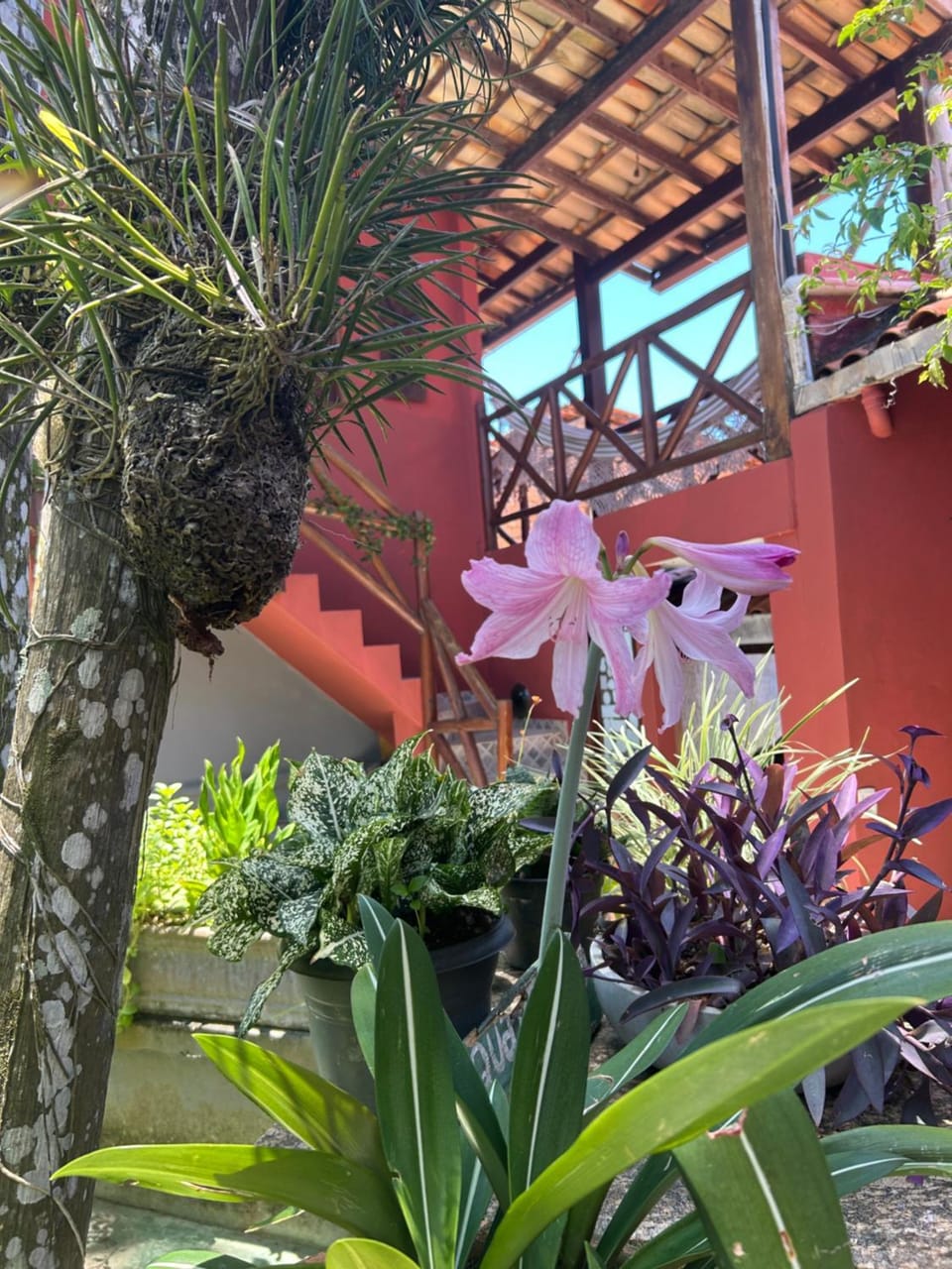 Garden, Garden view