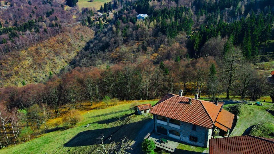 Bird's eye view, Garden