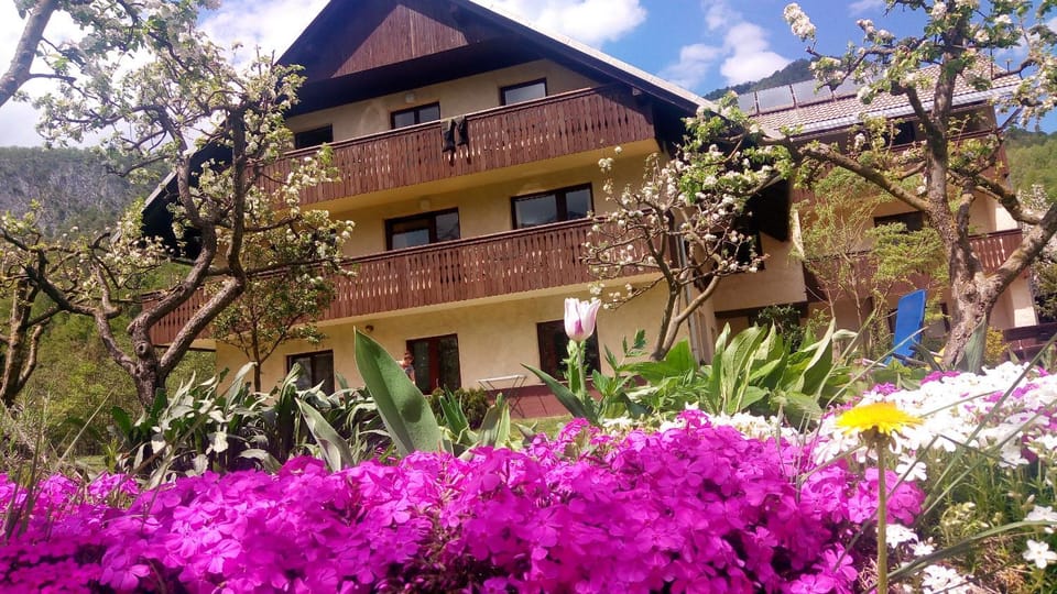 Property building, Garden