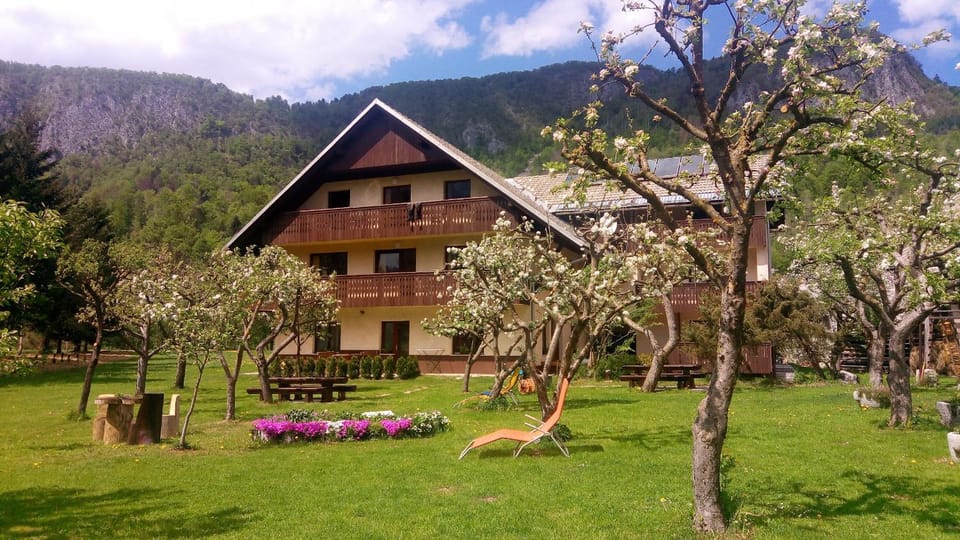 Apartments Arh Apartment in Slovenia