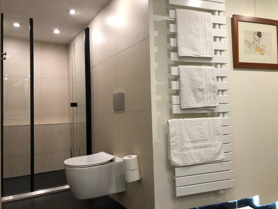 Shower, Toilet, Bathroom, towels
