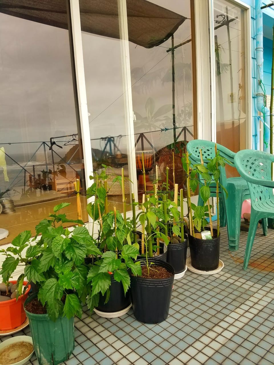 Ocean Home Guest House Bed and Breakfast in Japan