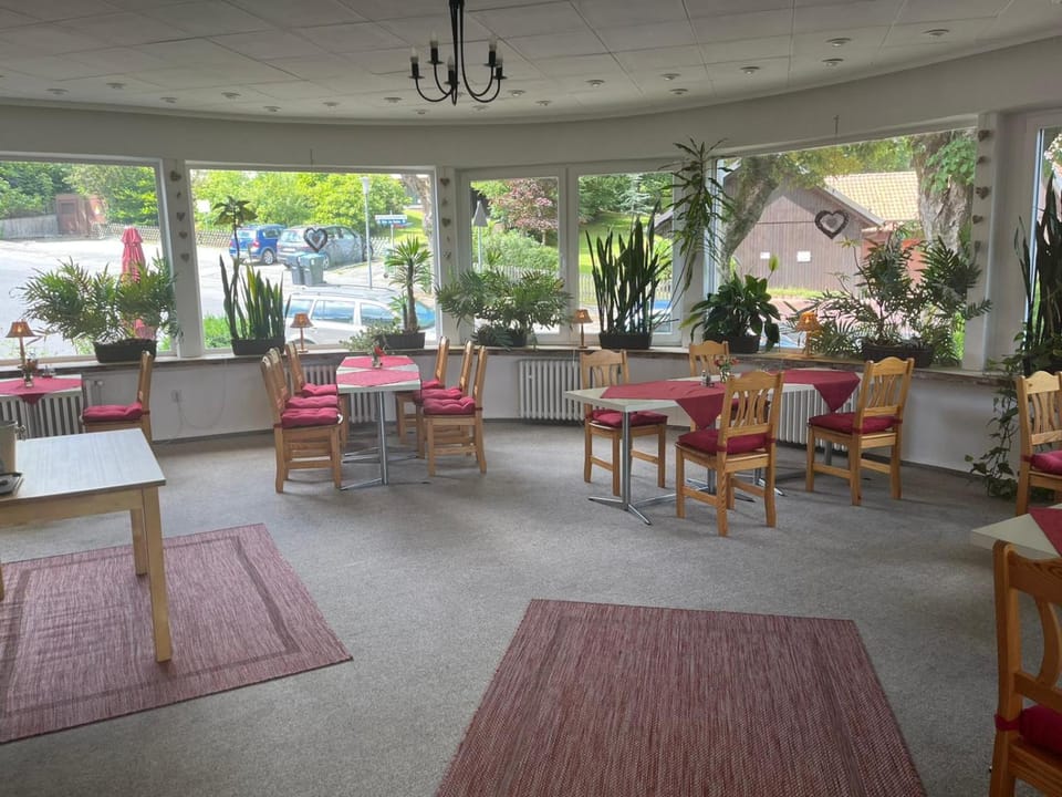 Day, Seating area, Breakfast