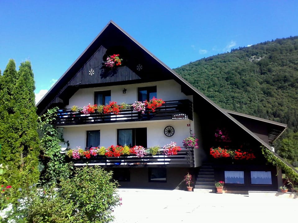 Property building, Day