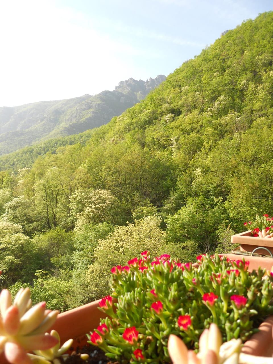 B&B Rossociliegia Bed and Breakfast in Liguria