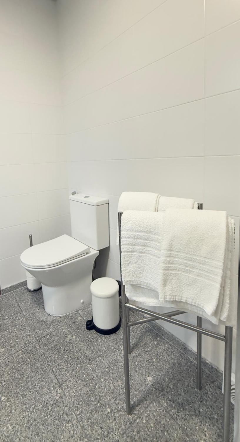 Toilet, Bathroom, towels