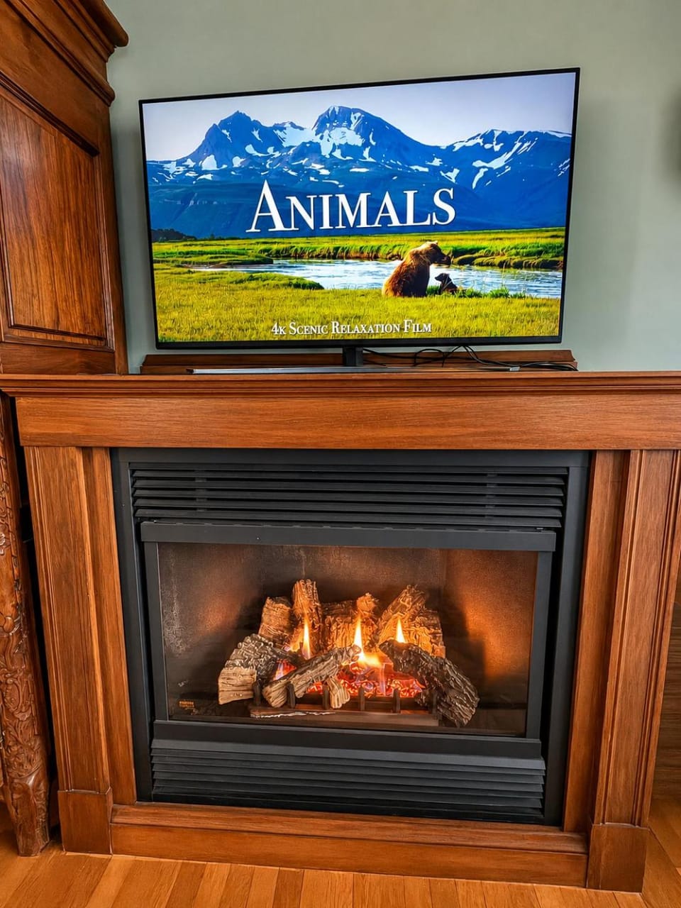 fireplace