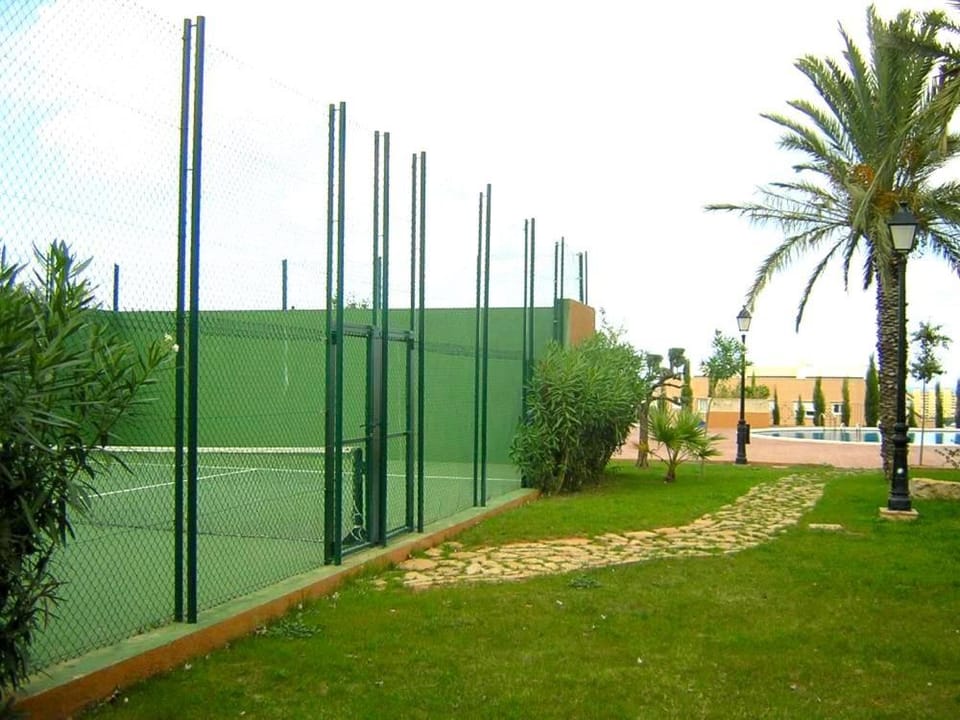 Activities, Garden, Garden