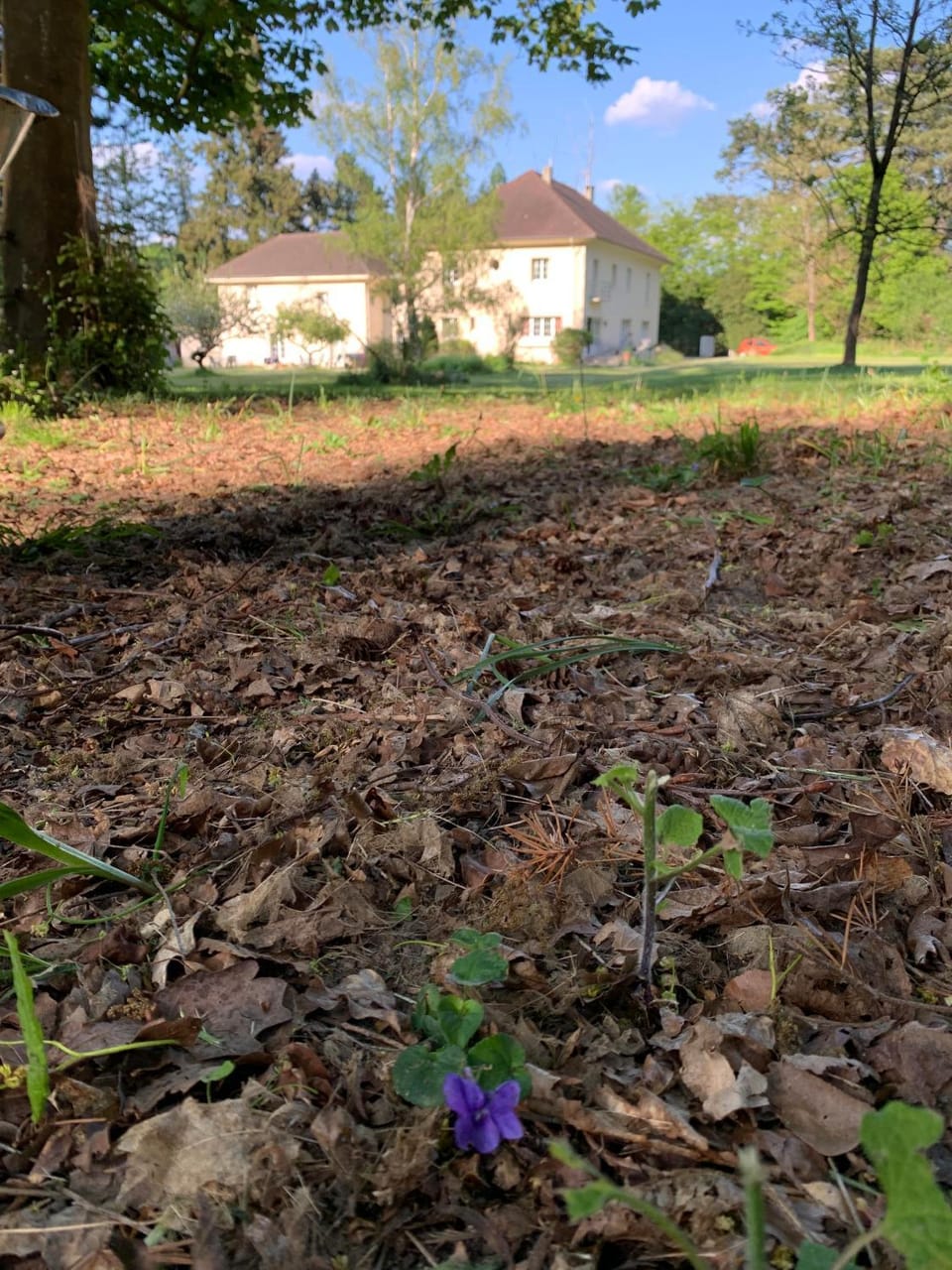 Property building, Spring, Garden, Garden view, Seasons