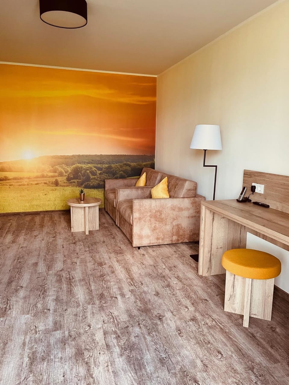 Living room, Photo of the whole room, Seating area