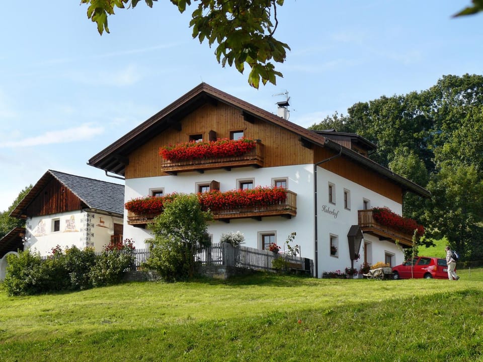 Property building, Summer, On site