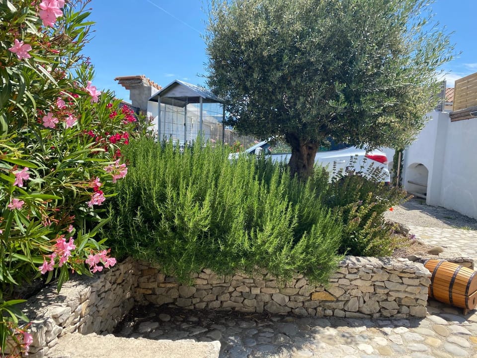 La Salamandre de l Olivier - le Palmier Apartment in Provence-Alpes-Côte d'Azur