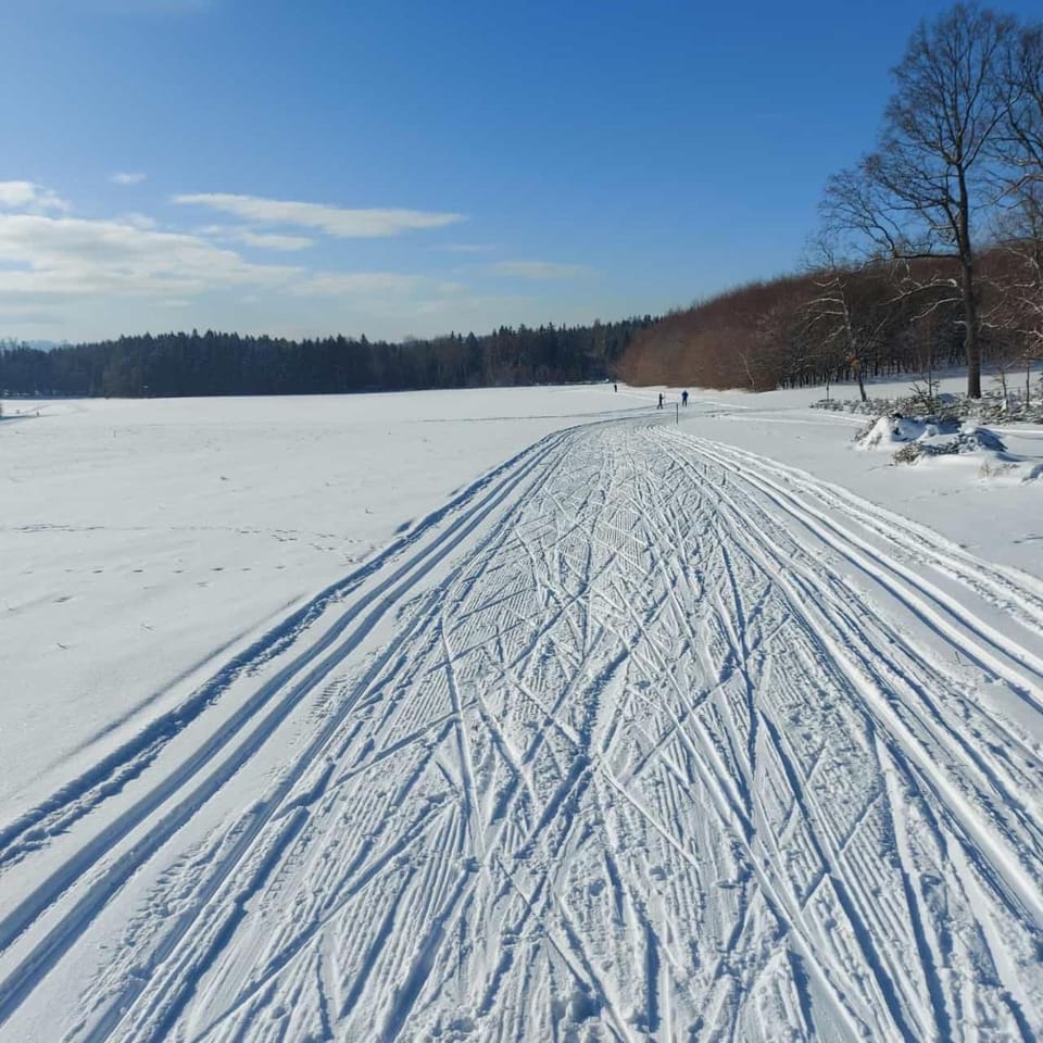 Day, Natural landscape, Winter, Skiing, Sports, Sports
