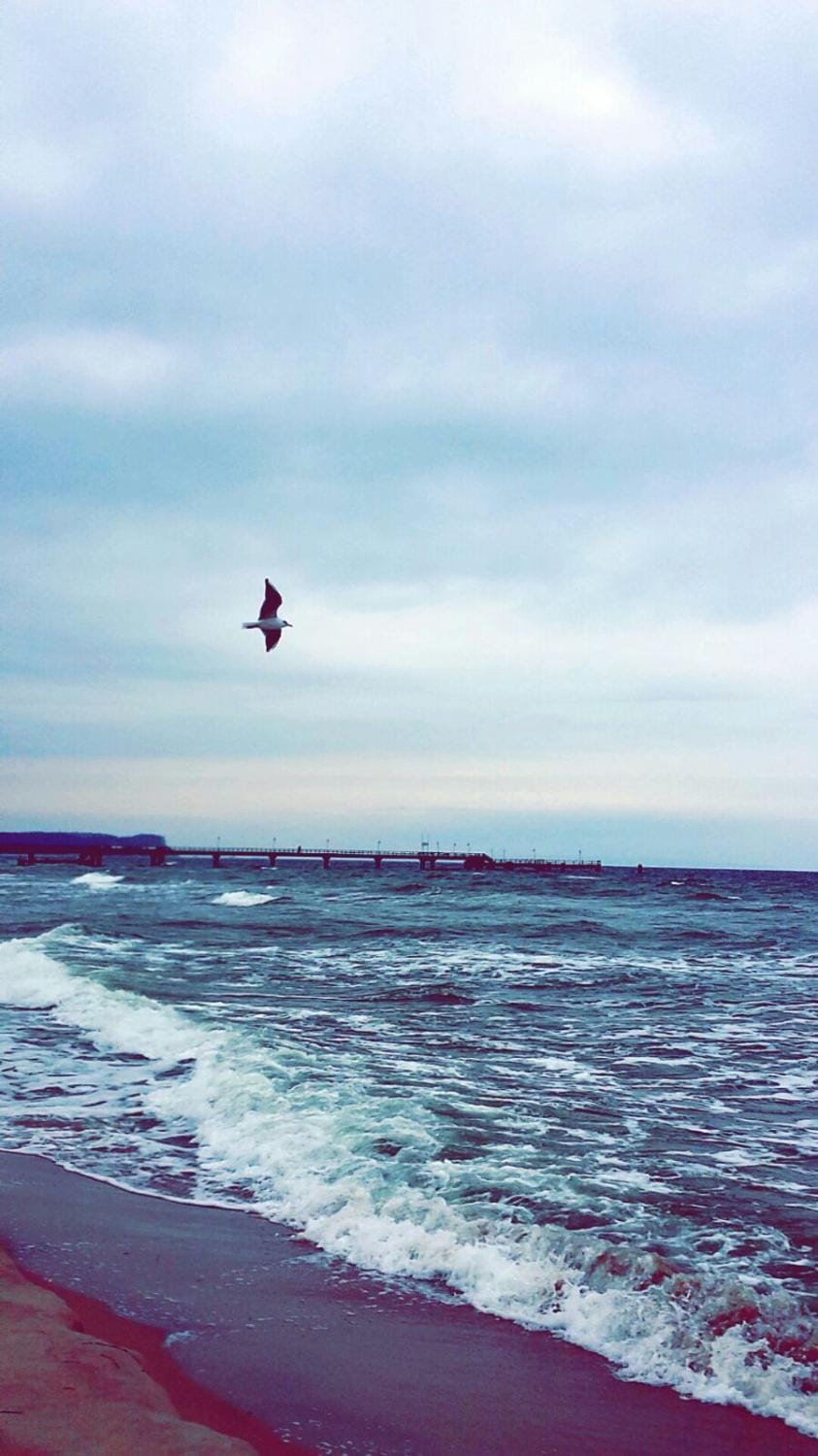 Natural landscape, Beach