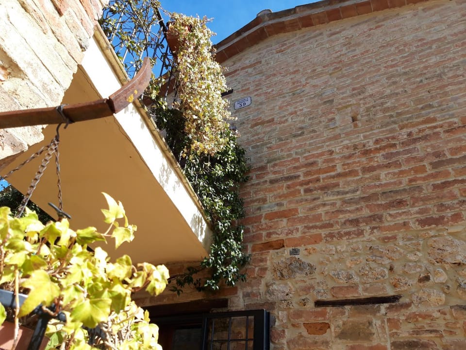 Patio, Garden, Balcony/Terrace