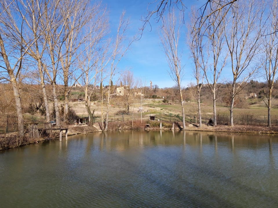 Decorative detail, Lake view