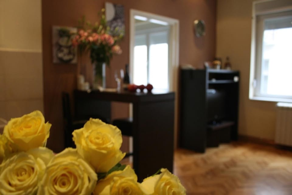 TV and multimedia, Coffee/tea facilities, Kitchen or kitchenette, Living room, Seating area, Dining area