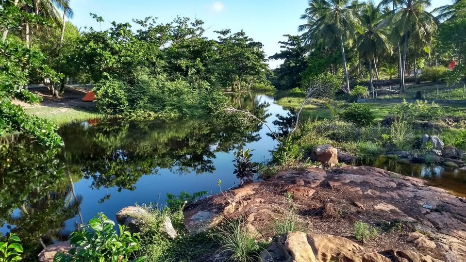 Natural landscape, Other, River view, River view