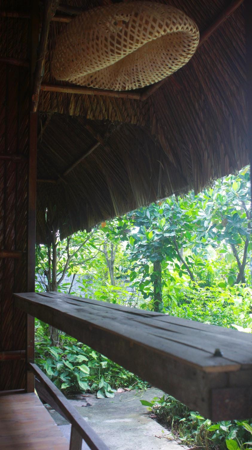 Garden view